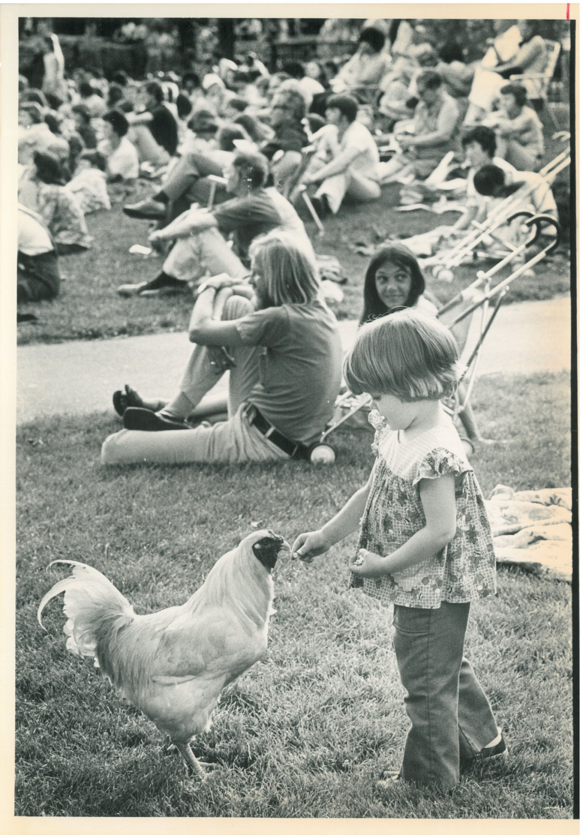 Lincoln Children's Zoo 50th Anniversary